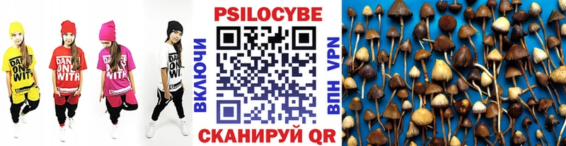 Псилоцибиновые грибы Psilocybe  это наркотические препараты  Орёл 